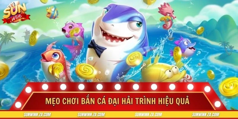 Bật mí các mẹo săn cá dành cho mọi hội viên